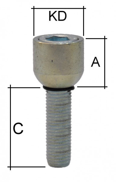 Iboltschraube M12 x 1,25 Kegelbund 60° SW10 miit Versatz