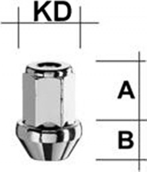 Radmutter M12 x 1,25 x 34mm Kegelbund 60° SW19