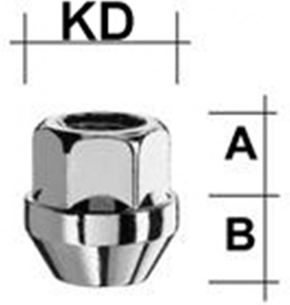 Radmutter Kegelbund 60° SW19 Typ H7V
