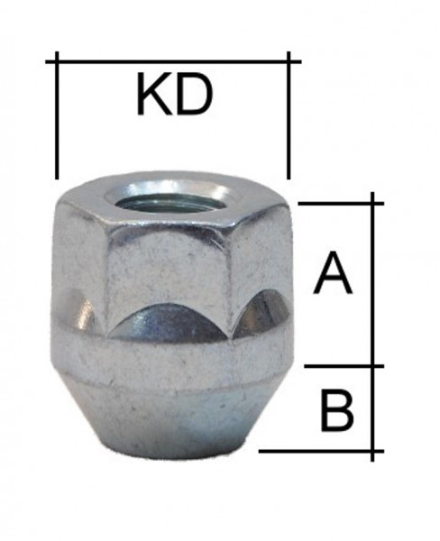 Radmutter Kegelbund 60° SW21 Typ H14V